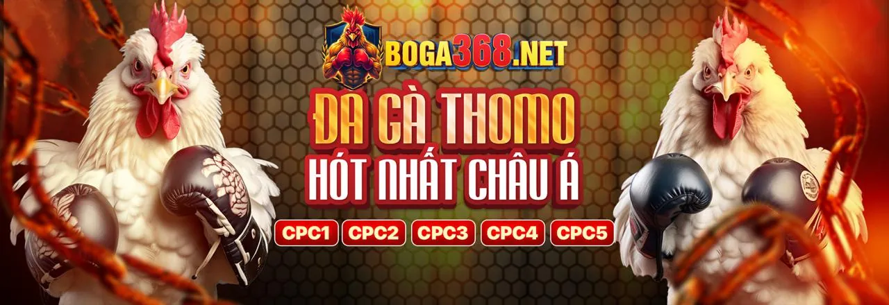 Đội ngũ chuyên nghiệp của VTY33 đang làm việc