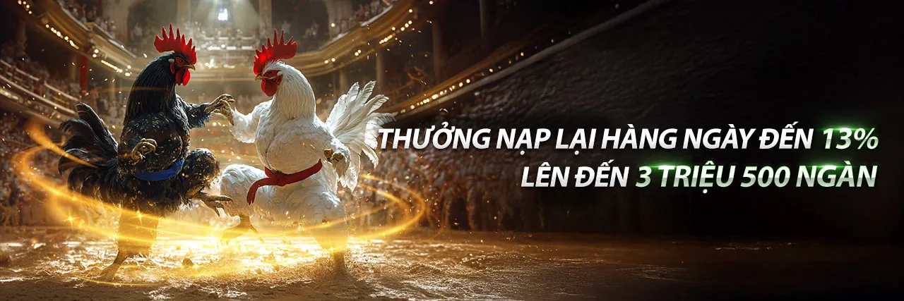 Hình ảnh giới thiệu VTY33, nền tảng cá cược trực tuyến hàng đầu Việt Nam