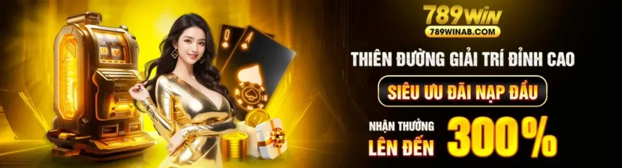 Hình ảnh chính về ưu đãi vty33